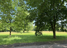 Ahrenshof W 14